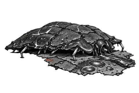 A low, wide creature with a cracked sealant shell pins a roof fragment with thin bent-nail legs; feeding blisters mark the surface ahead.